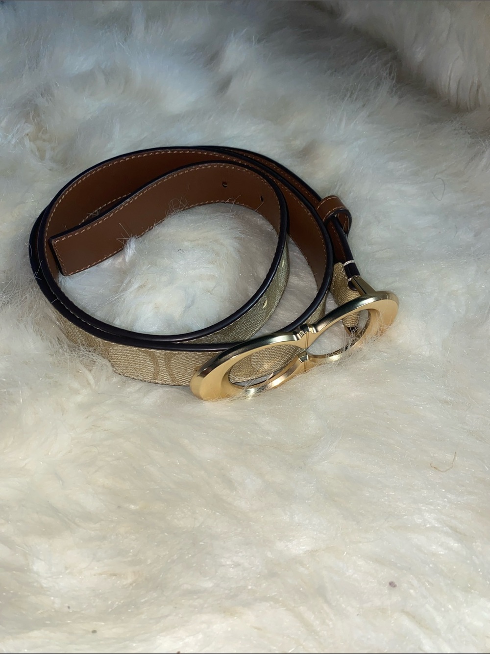 Coach Signature Canvas Belt